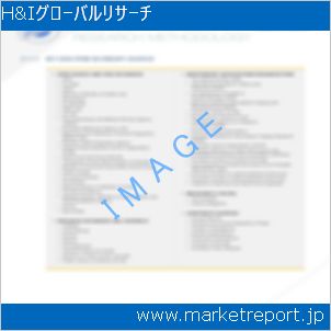 市場と産業調査レポートのイメージ